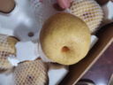 順豐正宗碭山酥梨9斤新鮮梨子當季現(xiàn)摘脆甜黃雪梨香梨青酥梨蜜梨L 5斤大果【多人選擇  順豐快遞】 曬單實拍圖