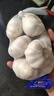 大蒜頭出口品質(zhì)網(wǎng)兜紫蒜蔬菜調(diào)料新鮮大果燒烤火鍋食材 【精品網(wǎng)兜裝】1斤裝 450g 曬單實(shí)拍圖