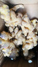 農多鮮 云南小黃姜 新鮮蔬菜現挖現發(fā)調味料火鍋食材 產(chǎn)地直供 小黃姜帶箱2斤 云南小黃姜 曬單實(shí)拍圖