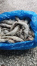 百鮮洽超大蝦新鮮大蝦冷凍鮮活青島大蝦批發(fā)整箱基圍蝦青蝦 【特大蝦王17-21cm】 3斤(凈重) 曬單實(shí)拍圖