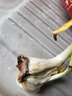 帶芽發(fā)貨 進(jìn)口重瓣水仙花種球年宵綠植花卉室內水培桌面盆栽植物 單瓣水仙1顆 曬單實(shí)拍圖