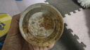 小鹿藍藍寶寶肉松海苔80g兒童零食兒童肉松拌飯拌面料鮮豬肉調味佐餐 曬單實(shí)拍圖