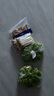 新鮮花生芽長(cháng)壽芽苗蔬菜 農家自種 500g花生苗農家火鍋食材新鮮 500g 曬單實(shí)拍圖