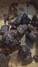 鮮京采 新西蘭原切去骨羊后腿肉4斤 燒烤燉煮食材 羊肉 京東自有品牌 曬單實(shí)拍圖