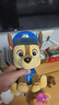汪汪隊立大功（PAW PATROL）汪汪隊玩具毛絨全套狗狗玩偶公仔男女孩玩具旺旺隊生日禮物 經(jīng)典款-阿奇公仔【需選尺寸】 中號-坐或站高約17~22.9CM 曬單實(shí)拍圖