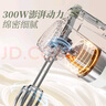 小熊（Bear）打蛋器 家用電動打蛋器 奶油奶蓋打發(fā)器迷你 烘焙手持攪拌器和面糊 四棒十檔 DDQ-B02L1艾綠色 曬單實拍圖