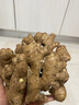 京鮮生云南羅平小黃姜帶泥姜新鮮蔬菜生姜特惠1.8斤源頭直發(fā) 曬單實(shí)拍圖