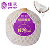 佳沃 JOYVIO泰國進口椰青香水椰子 9個裝 大果900g+ 水果禮盒 水果 源頭直發(fā) 曬單實拍圖
