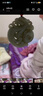 胖東來品質(zhì)天然和田玉平安扣吊墜男士玉佩青玉龍牌玉石掛墜項(xiàng)鏈男 【青玉祥龍平安扣/尺寸約49*50MM 曬單實(shí)拍圖