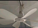 志高（CHIGO）小吊扇 小型電風扇 小風扇家用學生宿舍床上大風力6頁蚊帳扇懸掛式微風吊扇便攜小電扇 新升級-標配款6葉 曬單實拍圖