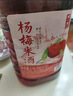 浙一家 楊梅米酒2.5L 3-9度 微醺米酒甜酒花果酒 湖州老字號 曬單實拍圖