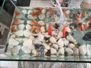 SQG魚(yú)缸增氧泵氧氣泵小型充氧泵靜音5W可調節雙孔泵+氣泡球 曬單實(shí)拍圖