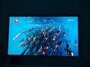 Vidda發(fā)現(xiàn)X Pro 2026款 100英寸 330Hz超高刷低反屏 4224分區(qū)QD-Mini LED 100VX5Q-PRO 100英寸 曬單實拍圖