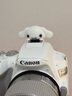 佳能/Canon 100D 200d 200D二代 R50 700D 80D 二手單反相機4K高清 200D二代 18-55 IS STM白色套機 95新 曬單實拍圖