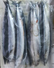 純色本味 冷凍冰島全籽多春魚(yú) 凈重2斤 滿(mǎn)籽 中秋 燒烤食材 家庭裝  曬單實(shí)拍圖