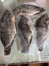翔泰海南三去羅非魚/海南鯛1400g/共4條免處理 生鮮魚類 海鮮水產(chǎn)  曬單實(shí)拍圖