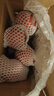 新鮮沙瓤西紅柿自然成熟老品種現(xiàn)摘現(xiàn)發(fā)番茄下蔬菜生鮮減肥 新鮮西紅柿 2斤 凈重 曬單實(shí)拍圖