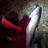 釣魚王破天翹釣魚竿10米超輕硬翹嘴鳊草魚釣竿甩大鞭大物手竿 10m 破天翹【甩大鞭破風性好】 曬單實拍圖
