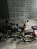 大行（DAHON）D6折疊自行車20英寸6速入門(mén)級(jí)折疊車成人學(xué)生通勤休閑單車KBC061 青草綠 曬單實(shí)拍圖
