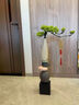 赟婭石來(lái)運(yùn)轉(zhuǎn)花瓶中式壁龕擺件客廳玄關(guān)電視酒柜裝飾喬遷之喜搬家禮物 迎客松+時(shí)來(lái)運(yùn)轉(zhuǎn)花瓶擺件 曬單實(shí)拍圖