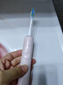 米家小米聲波掃振電動(dòng)牙刷粉色掃振雙倍擺角智能漏掃提醒180天續航三種模式 教師節禮物 曬單實(shí)拍圖