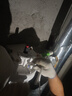 小魚(yú)兒鉆石鎧甲反沖洗大白瓶前置過(guò)濾器帶旁通家用全屋  5噸大流量自來(lái)水大藍瓶大胖瓶?jì)羲鞔笸?鉆石鎧甲10寸（配PP除雜質(zhì)） 曬單實(shí)拍圖