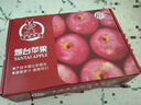 京鮮生 煙臺紅富士蘋(píng)果 4粒裝  單果160-190g  生鮮水果 曬單實(shí)拍圖