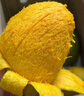 京鮮生 攀枝花凱特芒 凈重8.5斤 帶箱9斤 單果600g+ 生鮮水果 源頭直發(fā) 曬單實拍圖
