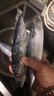 青魚(yú)鲅魚(yú)青占魚(yú)新鮮鲅魚(yú)特大青花魚(yú)青條魚(yú)深海鮐鲅魚(yú)批發(fā) 鮐鲅魚(yú)整箱6斤 新鮮直達 曬單實(shí)拍圖