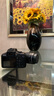 佳能（Canon）EOS 2000D 單反相機 2000D+18-55mm III鏡頭套機 APS-C畫幅 高清數(shù)碼照相機  曬單實拍圖