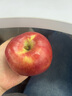 花牛 天水花牛蘋(píng)果 TIANSHUI HUANIU APPLE 當季現摘粉面紅蘋(píng)果 新鮮水果整箱 孕婦 寶寶輔食 團購送禮 蛇果 5斤裝（凈果4.5-5斤）優(yōu)選果 曬單實(shí)拍圖