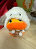 可愛(ài)途水豚表情包嚕嚕玩偶 毛絨玩具公仔娃娃掛飾掛件鑰匙扣生日禮物 微笑水豚+忘崽娃衣【1個(gè)】 1個(gè) 曬單實(shí)拍圖