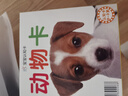 海潤(rùn)陽(yáng)光 寶寶認(rèn)知卡套裝 動(dòng)物卡+認(rèn)物卡+識(shí)車(chē)卡+果蔬卡 全4冊(cè) 中英雙語(yǔ)撕拉卡片親子互動(dòng)游戲 撕不爛嬰幼兒早教卡科學(xué)啟蒙認(rèn)知識(shí)物卡 曬單實(shí)拍圖