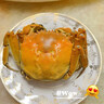 【活蟹】澄湖掌柜大閘蟹 鮮活大螃蟹公母組合裝 海鮮水產(chǎn)生鮮禮盒 公4.5-4.8母3.5-3.8兩公4只母4只 蘇州精品大閘蟹 曬單實(shí)拍圖