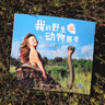 我的野生動物朋友 全新完整版 幼兒圖書 早教書 故事書 兒童書籍 我的野生動物朋友 全新完整版 曬單實(shí)拍圖