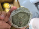 京鮮生 四川安岳黃檸檬6顆  單果80g+  源頭直發(fā)包郵 曬單實(shí)拍圖