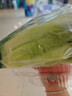 【高原夏菜】鐘靈山羅馬生菜400g 曬單實拍圖