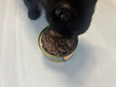 力狼  狗零食 狗狗火腿腸 寵物零食 狗訓練零食香腸磨牙棒 混合口味1500g（100支） 曬單實(shí)拍圖