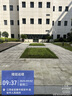 曼牌（MANNFILTER）空氣濾清器空氣濾芯空濾C21031 14代日產(chǎn)20-23款新軒逸 1.6L 曬單實(shí)拍圖