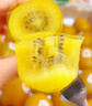 佳沛（zespri）新西蘭陽(yáng)光金果10個(gè)裝單果重約101-124g 中秋水果禮盒 獼猴桃 曬單實(shí)拍圖