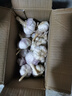 陜西2025干新鮮感大蒜現(xiàn)挖新蒜紫皮大蒜批發(fā)鮮蒜紅皮蒜干蒜 2-2.5斤單果4-5CMM凈1.6斤 曬單實(shí)拍圖