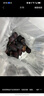 庾豐當季新鮮現摘脆紅李 新鮮水果整箱 孕婦脫骨青紅李子 團購送禮 5斤裝（凈果4.5斤）甄選果 顆顆甄選 產(chǎn)地直發(fā) 曬單實(shí)拍圖