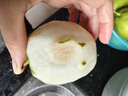 河北酥潤香梨 鮮香皮薄 時令水果 產(chǎn)地直發(fā) 整箱包郵 凈重8斤 單果120g+ 曬單實拍圖