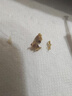 bebird可視挖耳勺帶鑷子蜂鳥(niǎo)可夾蛇形可視耳勺掏耳朵神器套裝 曬單實(shí)拍圖