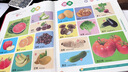 皓樂爽會說話的雙語早教有聲書0-6歲寶寶啟蒙學習機兒童玩具1點讀 11主題600讀物[啟蒙早教小本] 曬單實拍圖