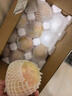 京鮮生  山西水蜜桃 凈重4.5斤 單果150g+ 生鮮水果 源頭直發(fā)  曬單實(shí)拍圖