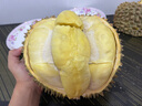 谷飼黃牛牛腱子 1.5kg 不含腱子芯牛肉牛腱子 1.5kg 【新老包裝交替發(fā)貨】 曬單實(shí)拍圖