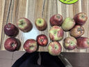 花牛 天水花牛蘋(píng)果 TIANSHUI HUANIU APPLE 當季現摘粉面紅蘋(píng)果 新鮮水果整箱 孕婦 寶寶輔食 團購送禮 蛇果 5斤裝（凈果4.5-5斤）優(yōu)選果 曬單實(shí)拍圖