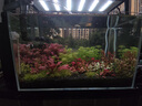 尼特利水草液肥基肥營(yíng)養液不傷魚(yú)草缸肥料魚(yú)缸植物紅草型350ml 曬單實(shí)拍圖