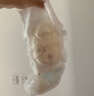 碧芭寶貝大魚海棠pro拉拉褲XXXL28片(≥18kg)尿不濕夏季超薄透氣 裸感不勒 曬單實拍圖